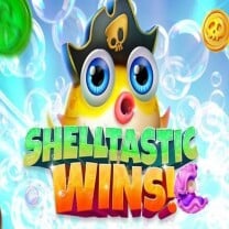 Shelltastic Wins