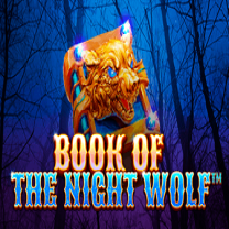 Book Of The Night Wolf