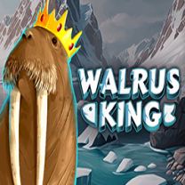 Walrus King