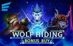 Wolf Hiding Bonus Buy