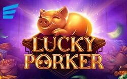 Lucky Porker