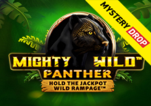 Mighty Wild: Panther