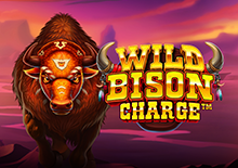 Wild Bison Charge