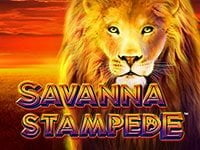 Savanna Stampede