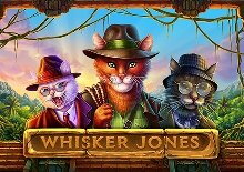 Whisker Jones