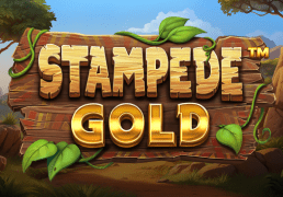 Stampede Gold